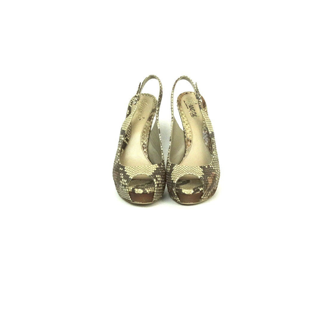 Scarpa Decolletè Gucci pitone