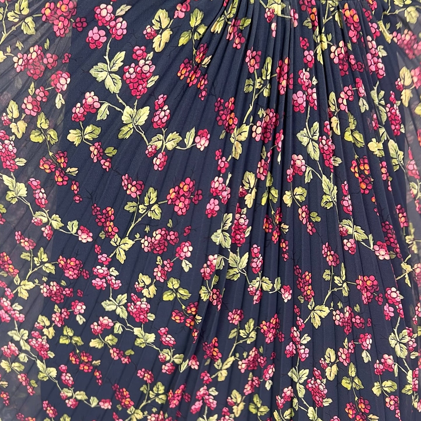 ETRO Gonna lunga in seta plissetata nera con stampa fiori